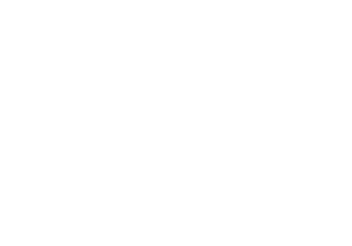 Geeky Hollow